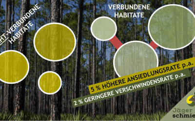 Das Verbinden von Habitaten mit Hilfe von Fluren kann gefährdeten Arten helfen, sich zu erholen!